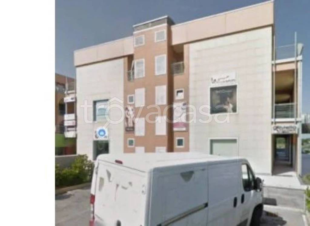 immagine annuncio 3 di 13