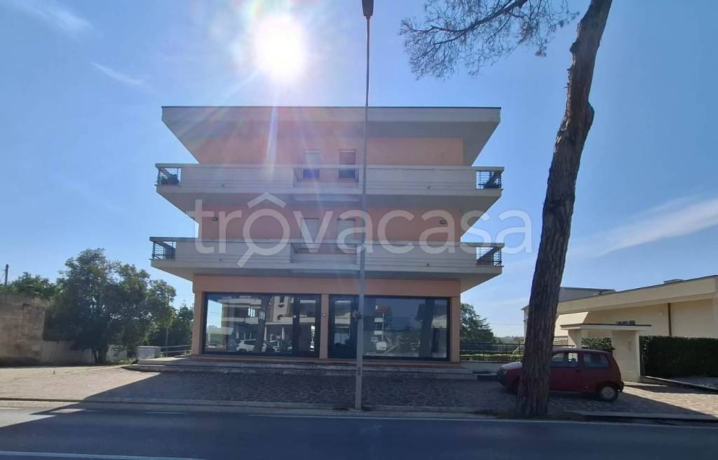 immagine annuncio 1 di 6