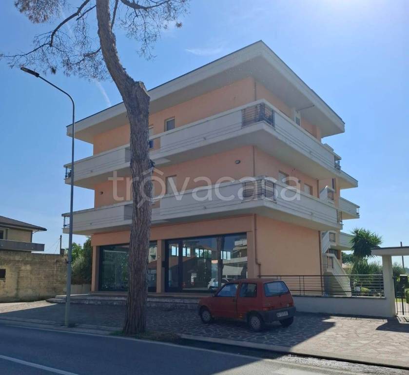 immagine annuncio 3 di 6