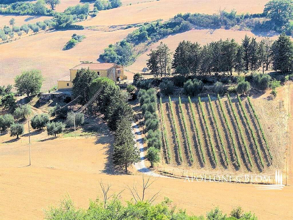 immagine annuncio 1 di 11