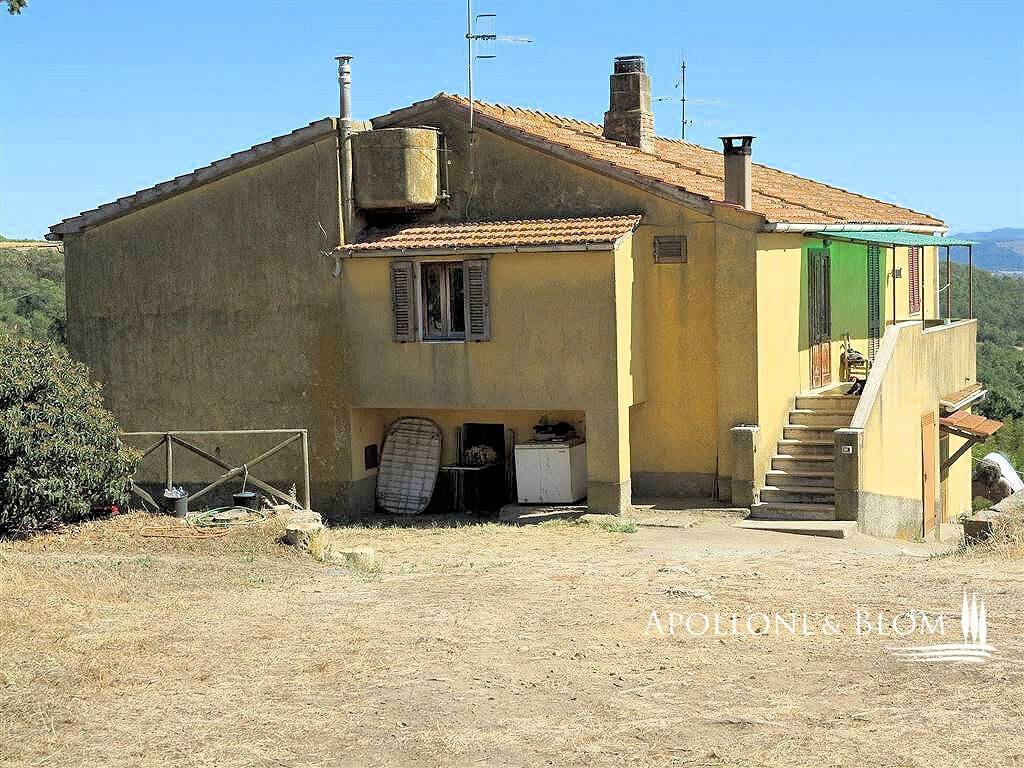 immagine annuncio 5 di 11