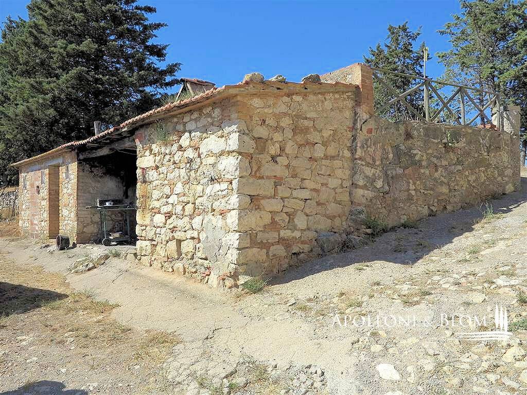 immagine annuncio 8 di 11