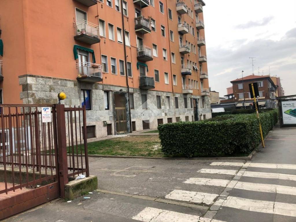 immagine annuncio 12 di 15