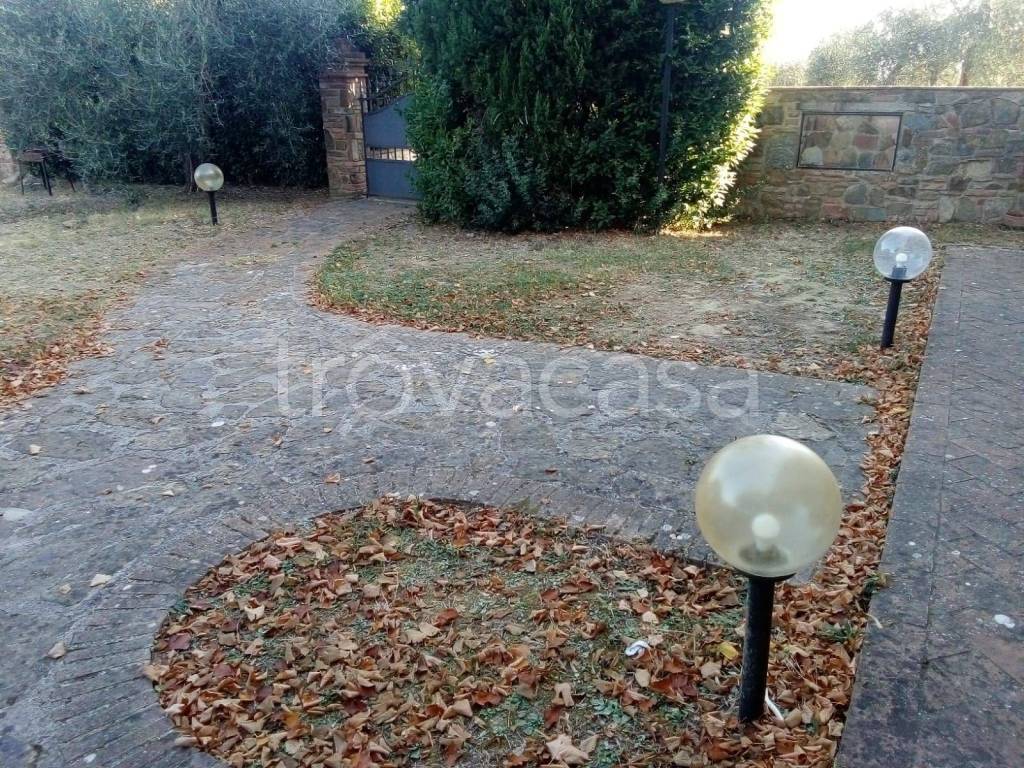 immagine annuncio 10 di 12