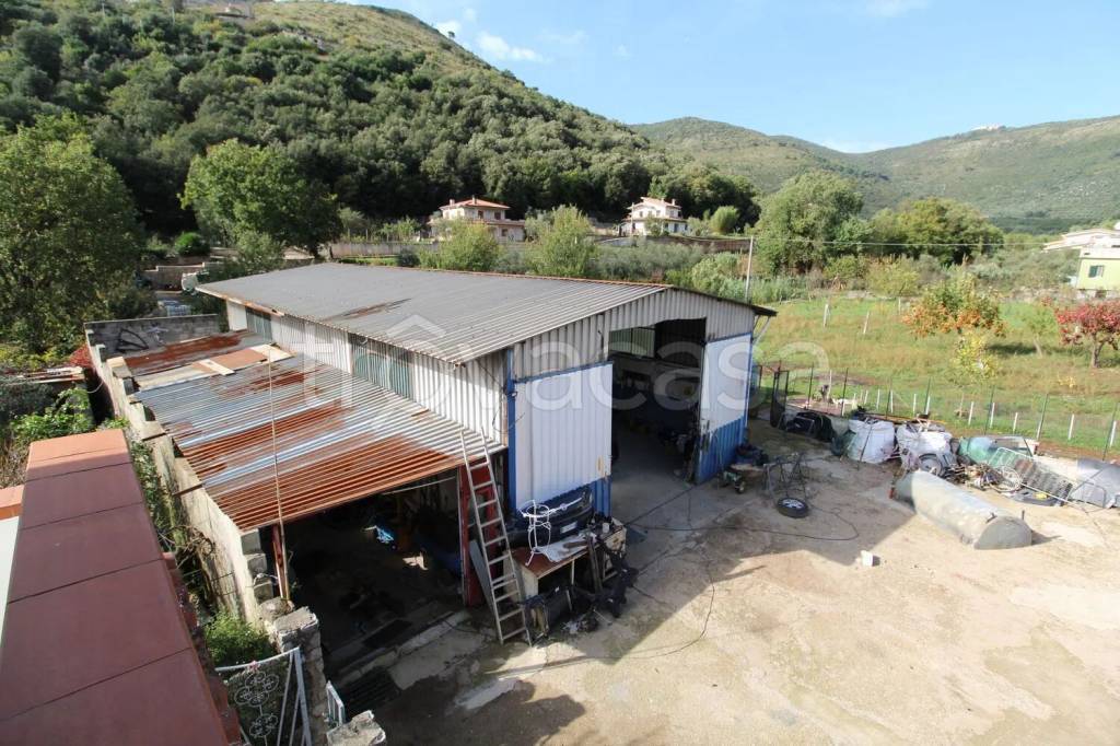 immagine annuncio 13 di 14