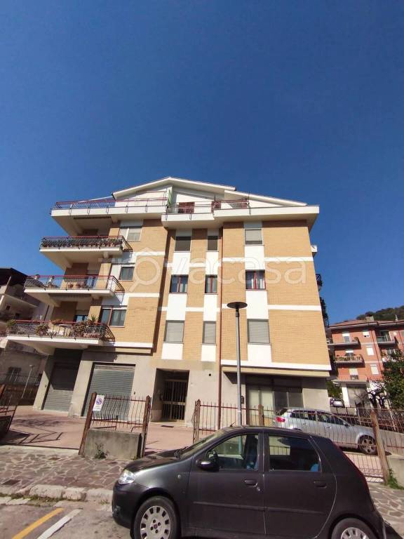 immagine annuncio 1 di 7