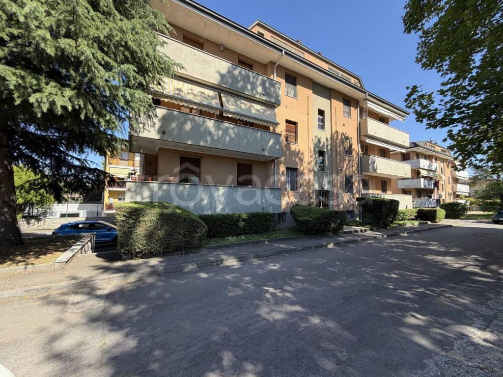 immagine annuncio 3 di 9