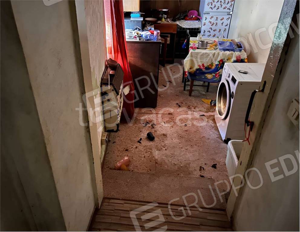 immagine annuncio 2 di 7