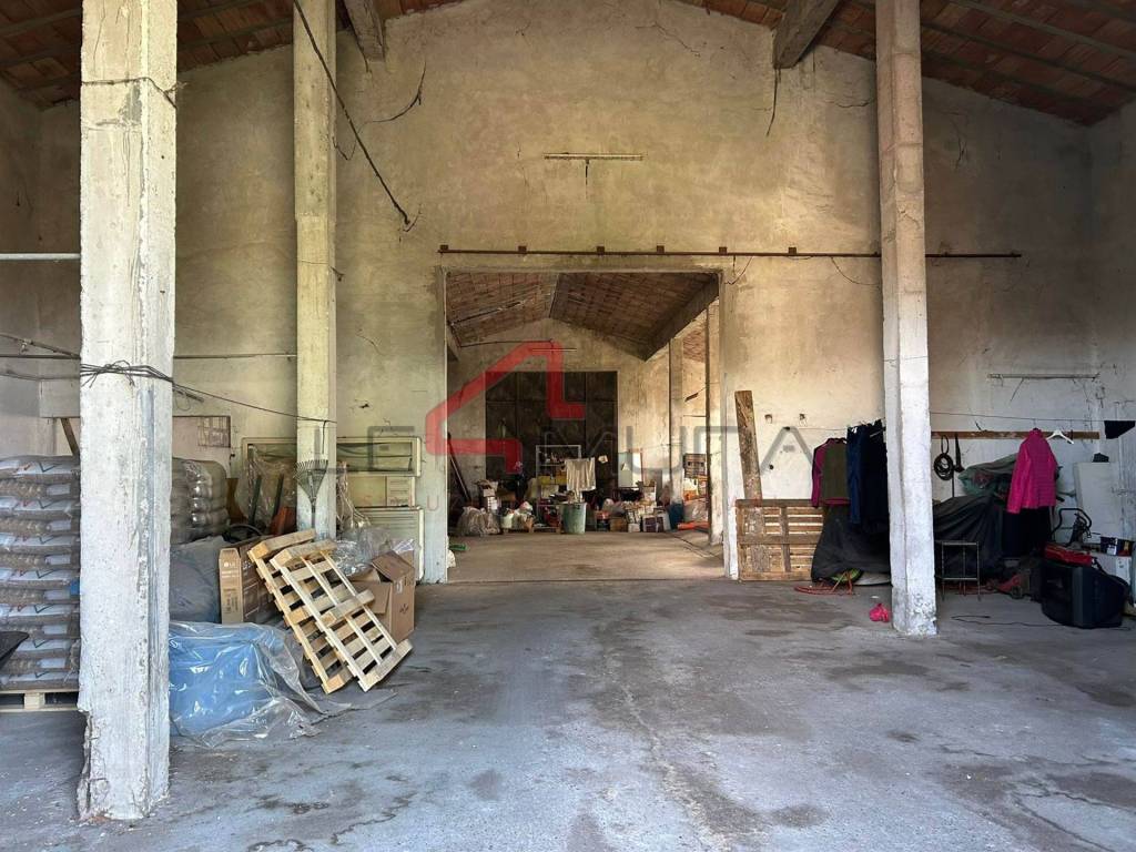 immagine annuncio 3 di 4