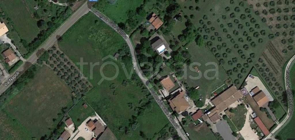 immagine annuncio 10 di 11