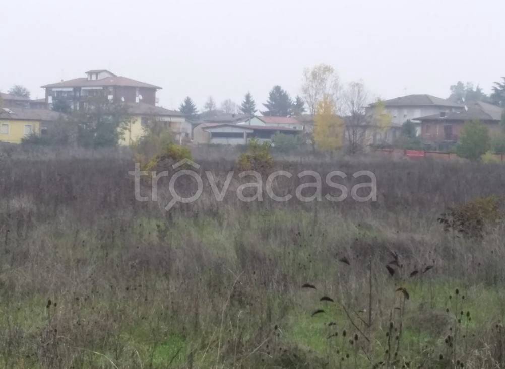 immagine annuncio 4 di 12