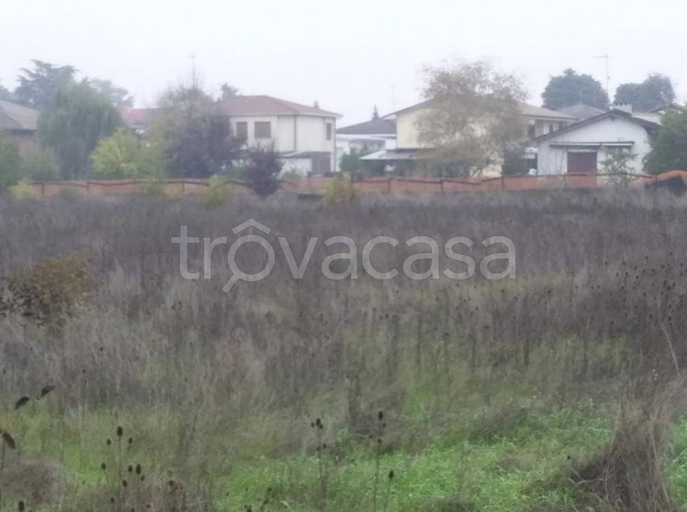 immagine annuncio 7 di 12