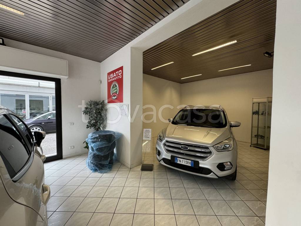 immagine annuncio 8 di 15
