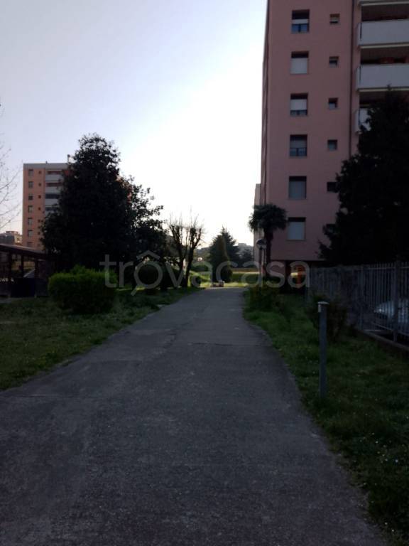 immagine annuncio 5 di 14
