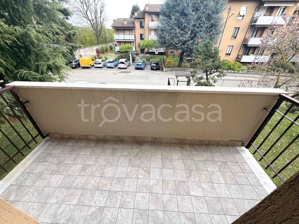 immagine annuncio 6 di 14