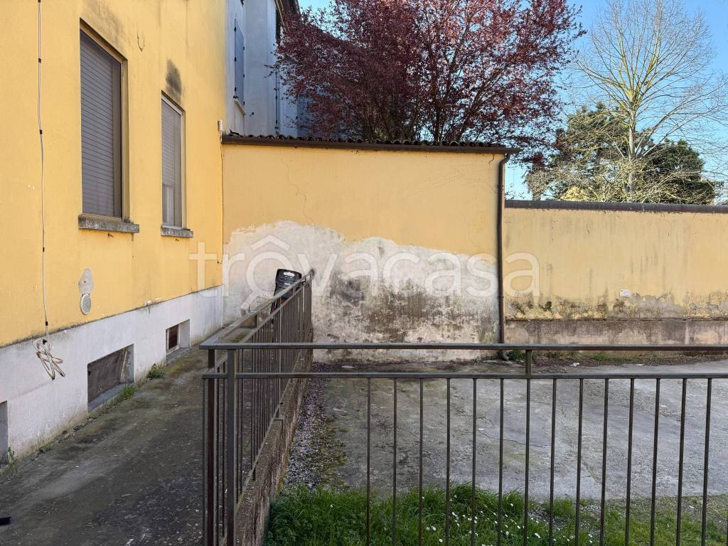 immagine annuncio 3 di 14