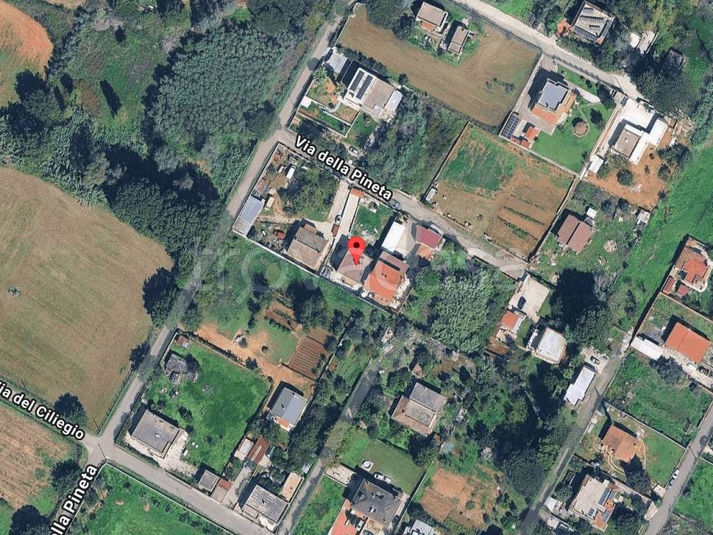 immagine annuncio 2 di 3