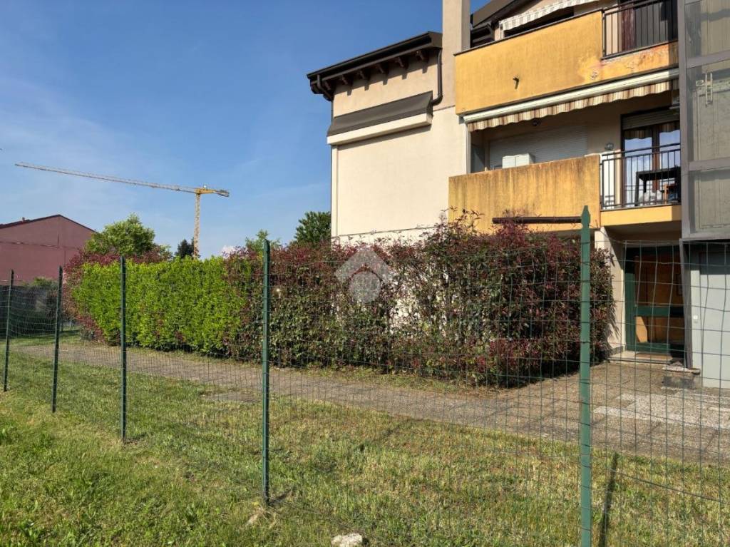 immagine annuncio 1 di 15