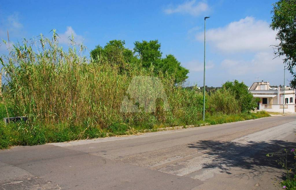 immagine annuncio 6 di 11