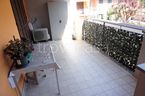 immagine annuncio 6 di 13
