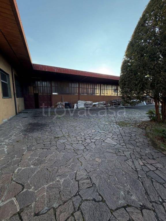 immagine annuncio 5 di 14