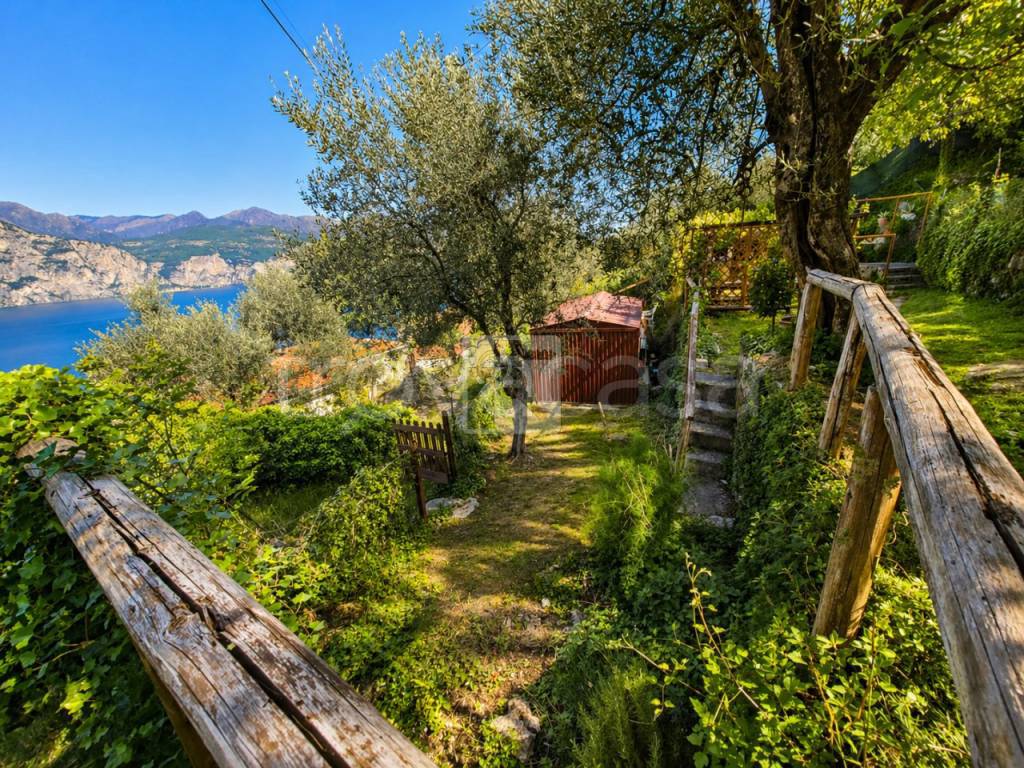 immagine annuncio 2 di 7