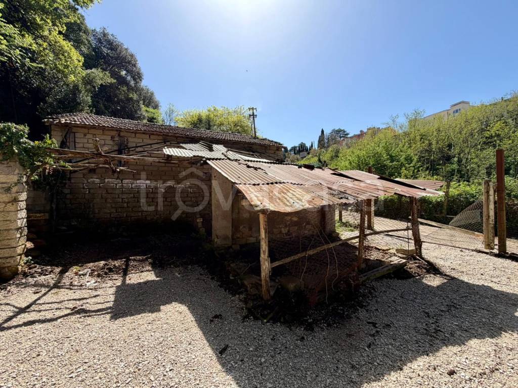 immagine annuncio 3 di 12