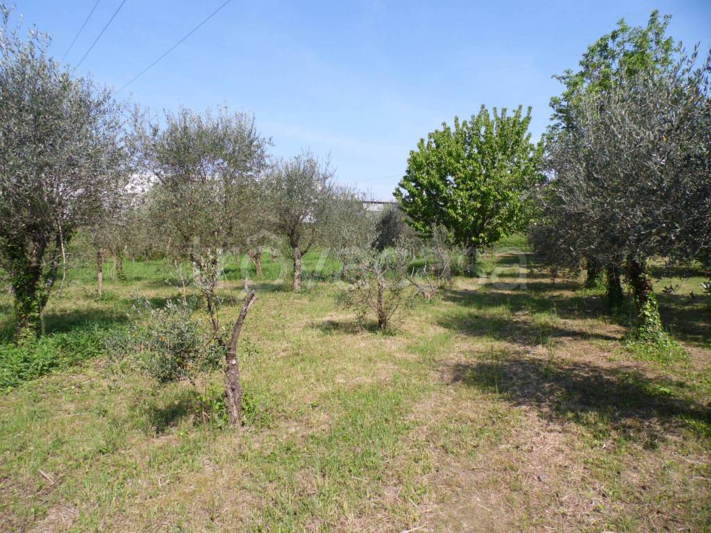 immagine annuncio 10 di 12