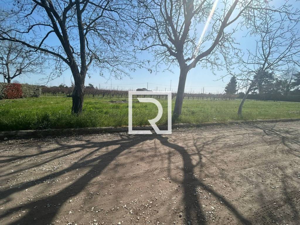 immagine annuncio 11 di 14