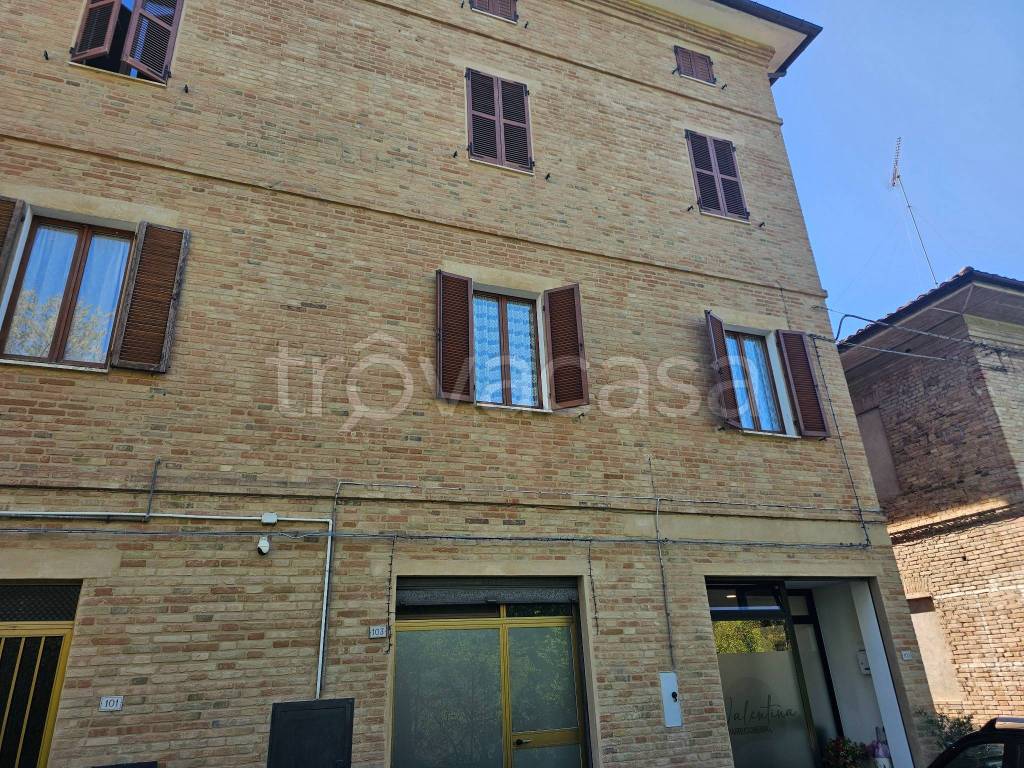immagine annuncio 11 di 12