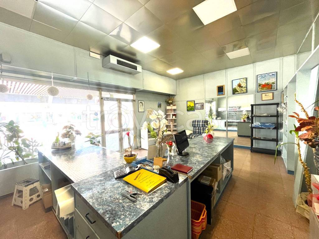 immagine annuncio 6 di 12