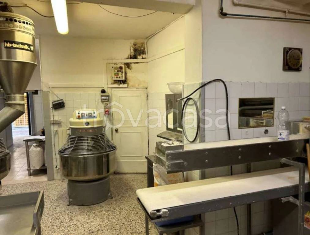 immagine annuncio 7 di 11