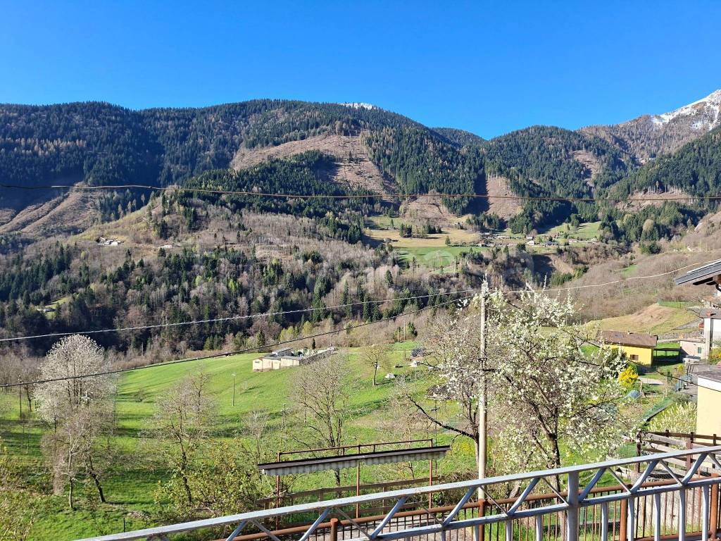 immagine annuncio 5 di 12