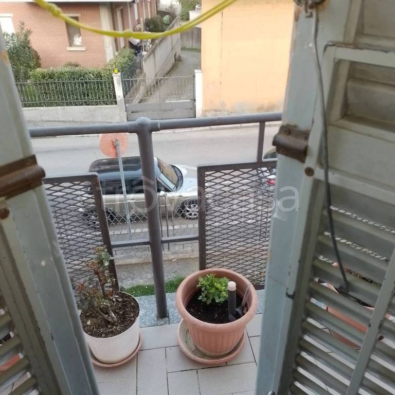 immagine annuncio 6 di 14