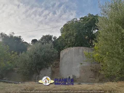 immagine annuncio 7 di 14