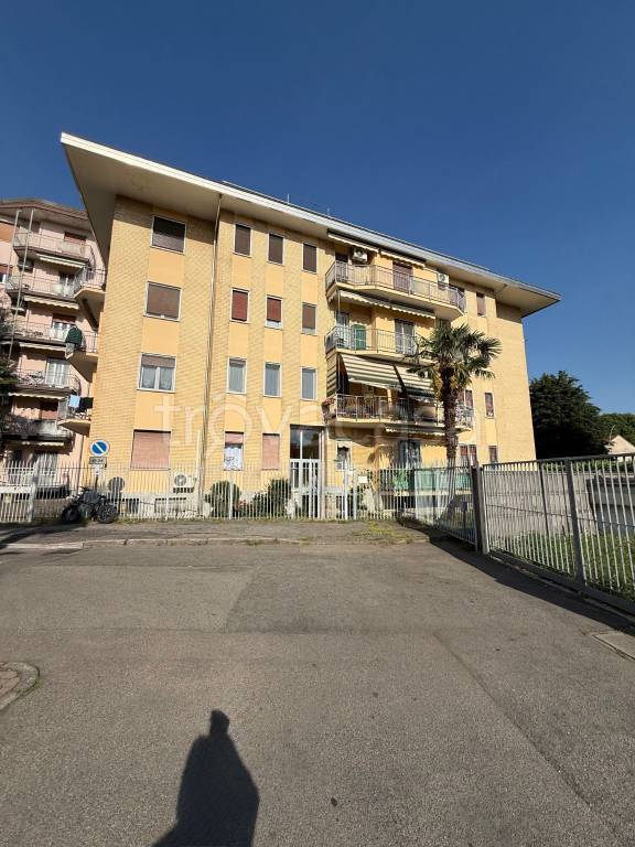 immagine annuncio 5 di 15
