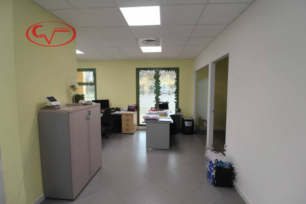 immagine annuncio 5 di 14