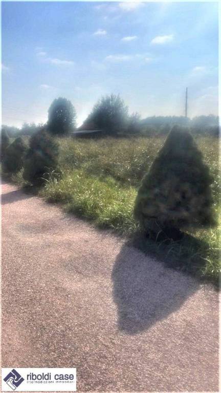 immagine annuncio 1 di 9