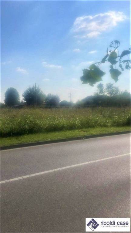immagine annuncio 3 di 9