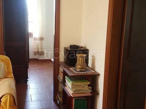 immagine annuncio 7 di 14