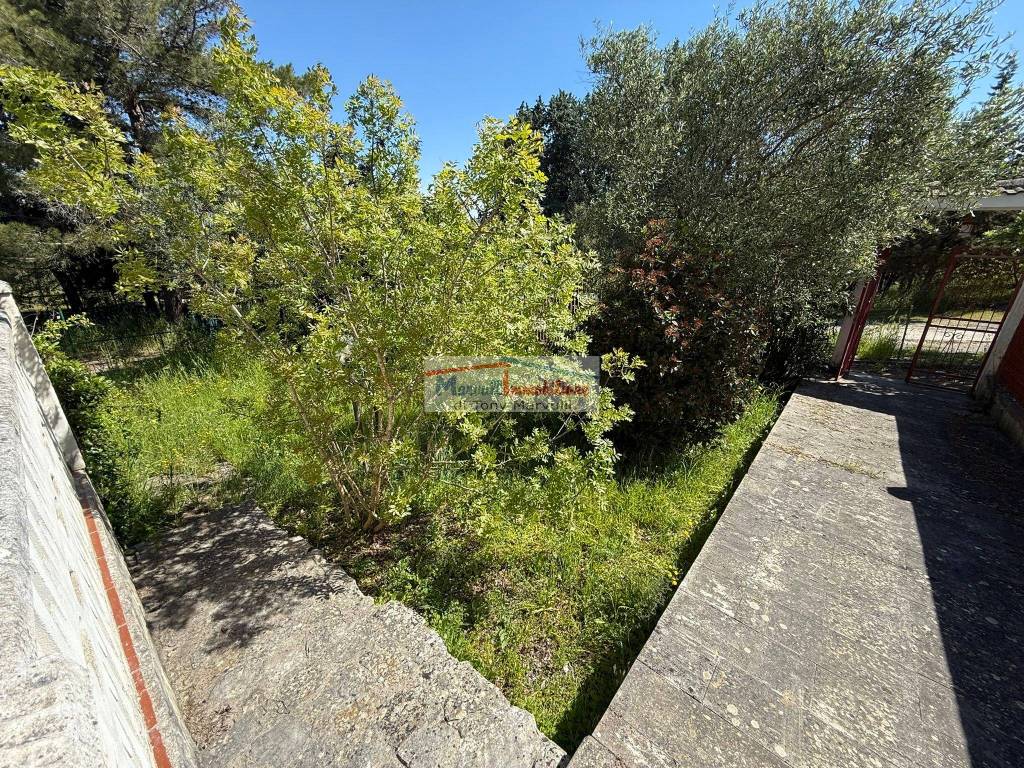 immagine annuncio 2 di 14