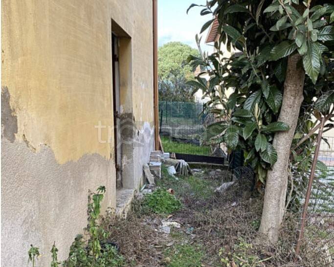 immagine annuncio 1 di 6