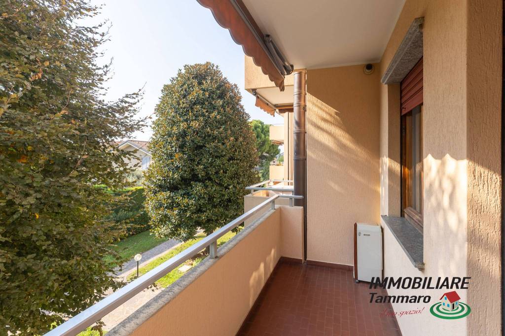 immagine annuncio 11 di 15