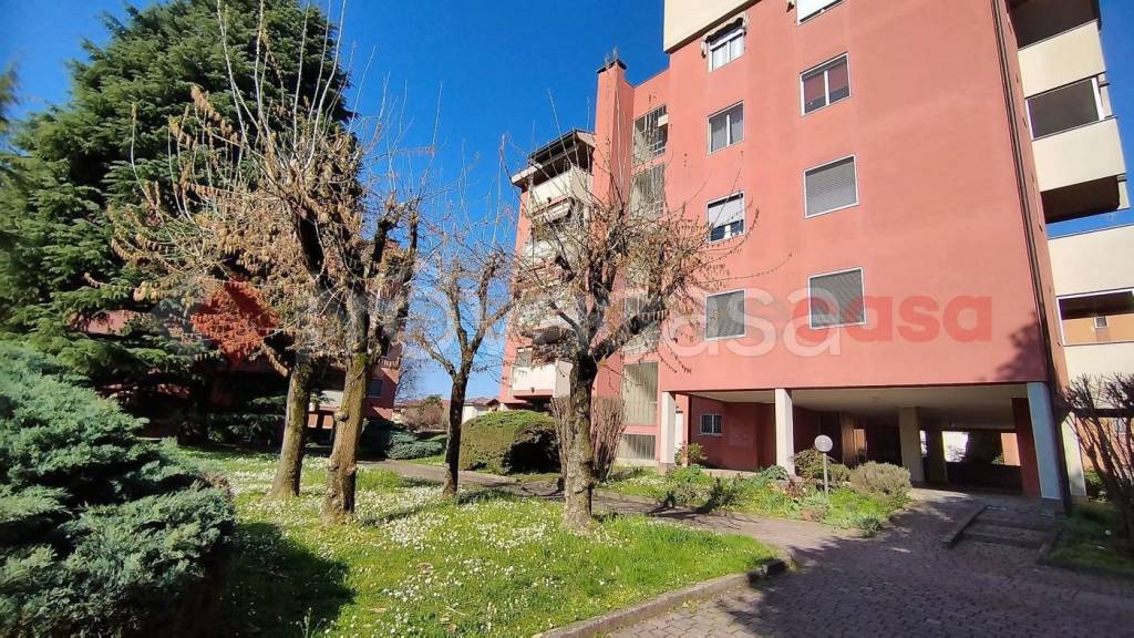 immagine annuncio 4 di 7