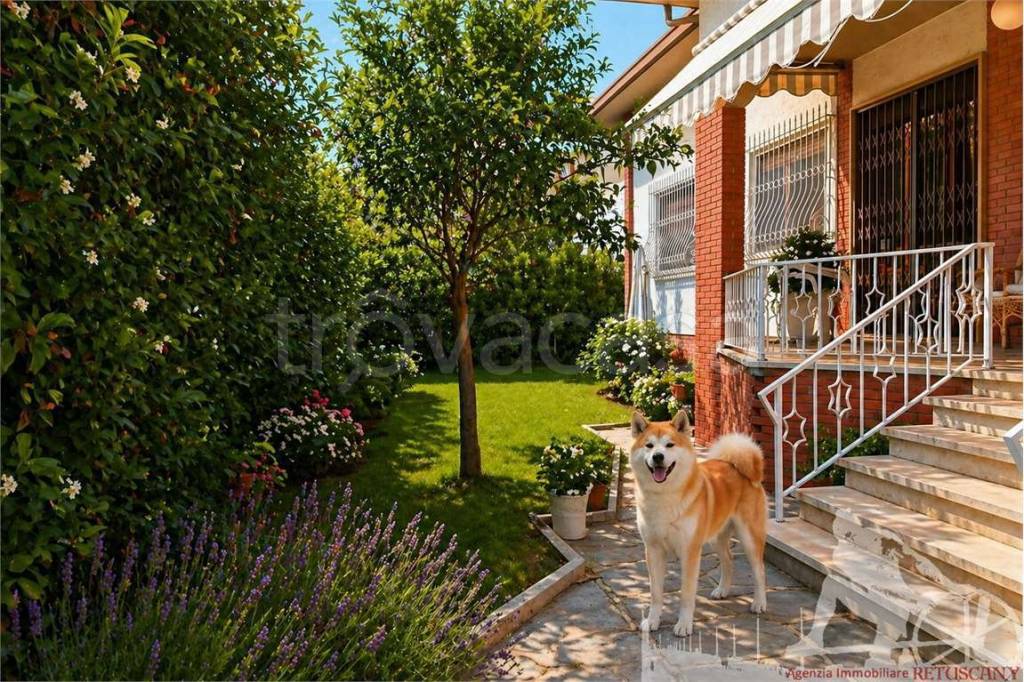 casa indipendente in affitto a Forte dei Marmi