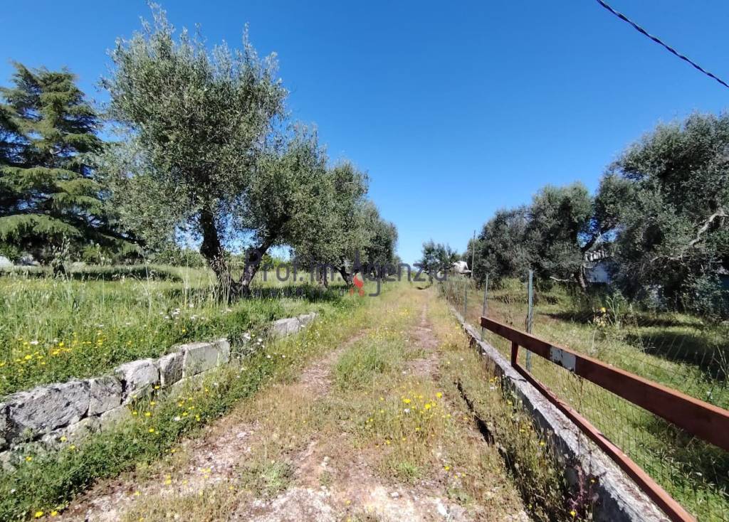 immagine annuncio 9 di 11