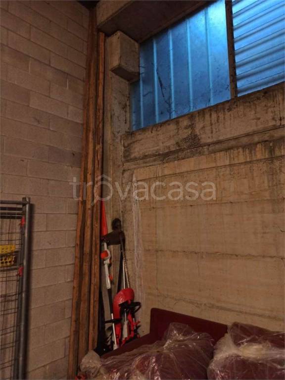 immagine annuncio 4 di 12