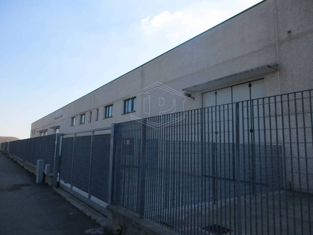 immagine annuncio 4 di 11