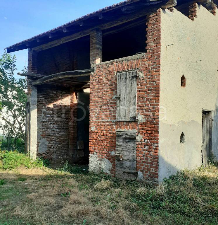 immagine annuncio 6 di 12