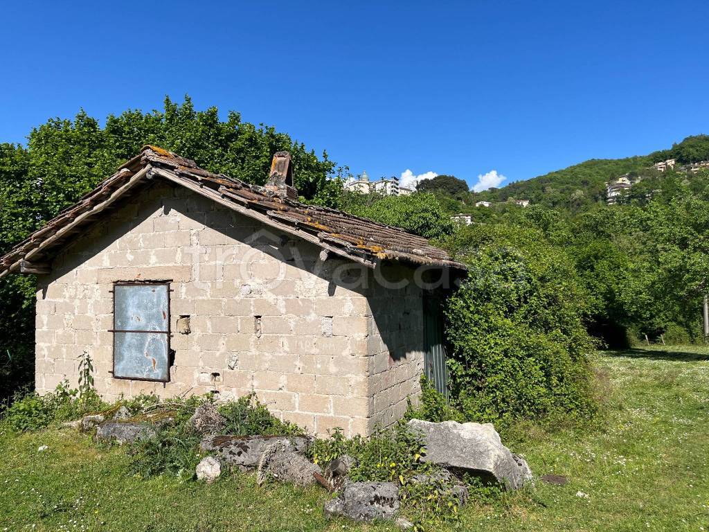 immagine annuncio 10 di 13